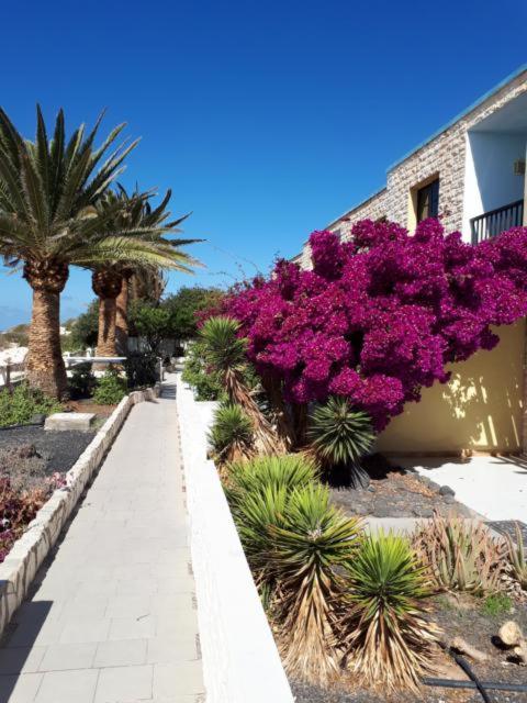 Maravilla Bungalows Cotillo المظهر الخارجي الصورة